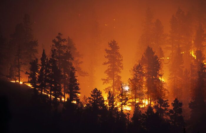 incêndio florestal de grandes proporções