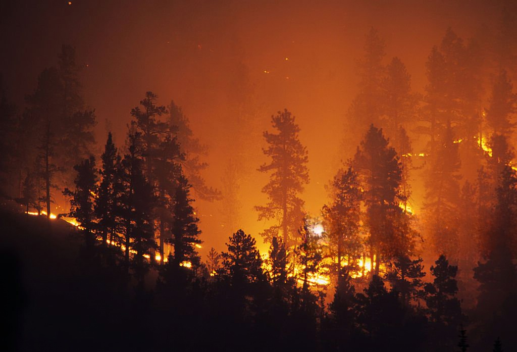 incêndio florestal de grandes proporções