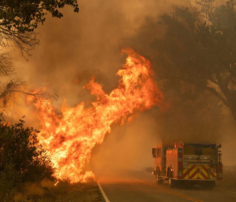 limpeza obrigatória de terrenos incêndios